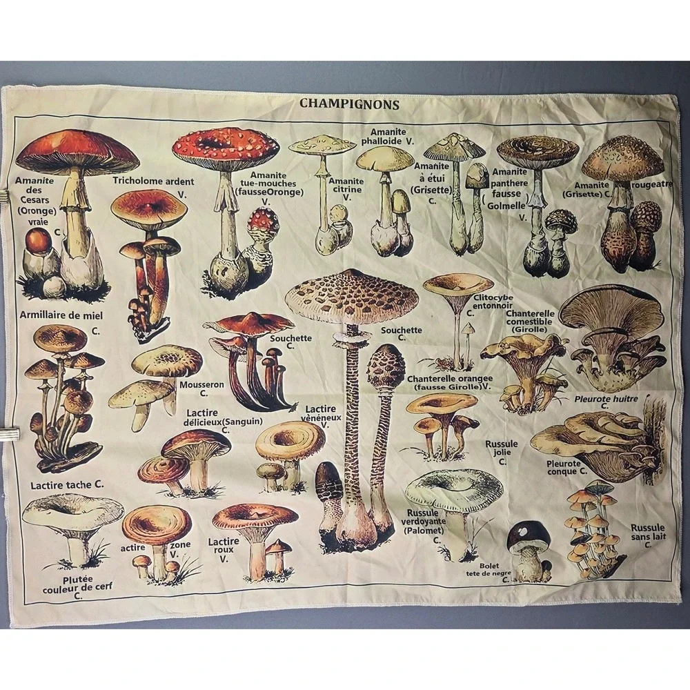 Mushroom Botanical Tapestry Wall Hanging Art 36x28 Cream Multi French